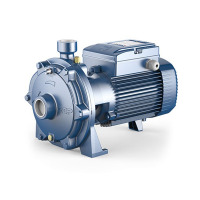 Центробежный насос Pedrollo 2CP