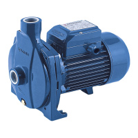 Центробежный насос Pedrollo CP220AH